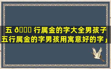五 🐕 行属金的字大全男孩子「五行属金的字男孩用寓意好的字」